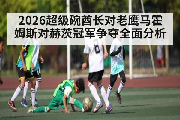 2026超级碗酋长对老鹰马霍姆斯对赫茨冠军争夺全面分析